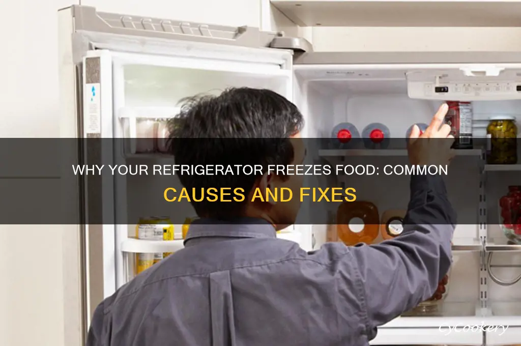 why does the refrigerator freeze my food