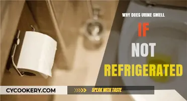 Why Urine Smell Intensifies Without Refrigeration: Science Explained