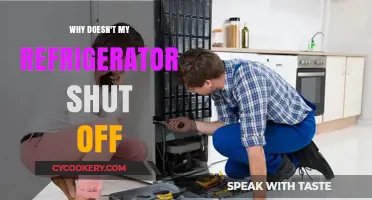 Why Your Refrigerator Won't Shut Off: Common Causes & Fixes