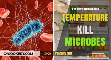 Why Refrigerator Temperatures Fail to Eliminate Harmful Microbes