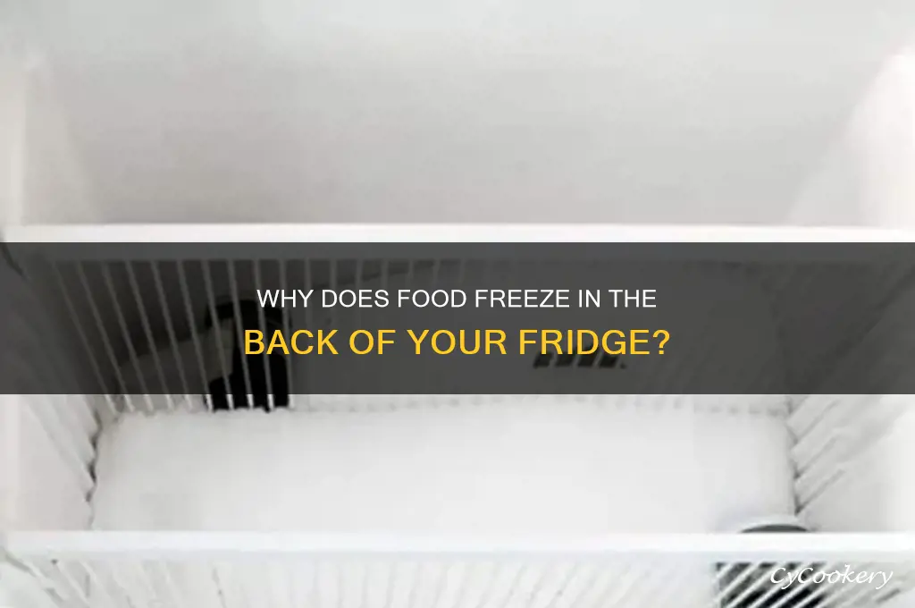 why food freezes in back of refrigerator