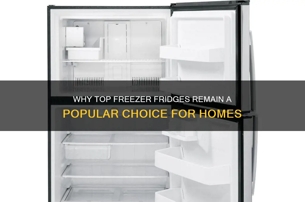 why freezer is on top of refrigerator