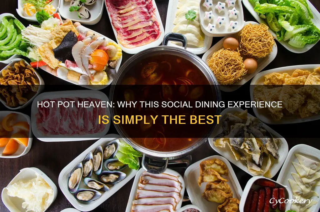 why hot pot is the best