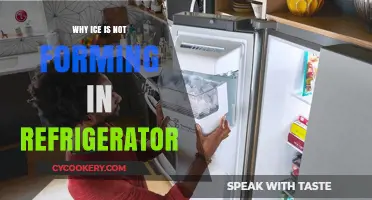 Why Your Refrigerator Isn't Making Ice: Common Causes and Fixes