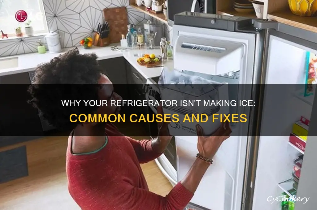 why ice is not forming in refrigerator