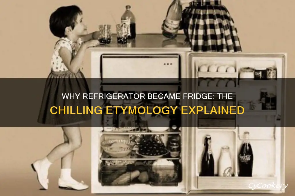 why is a refrigerator called a fridge