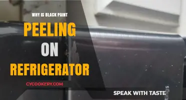 Why Black Paint Peels on Refrigerators: Causes and Solutions