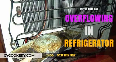 Preventing Overflow: Understanding Your Refrigerator's Drip Pan Issues