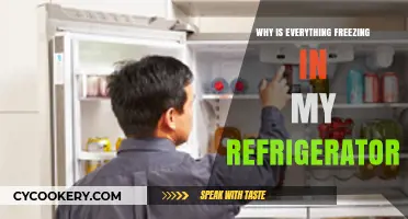 Why Is Everything Freezing in My Refrigerator? Troubleshooting Tips