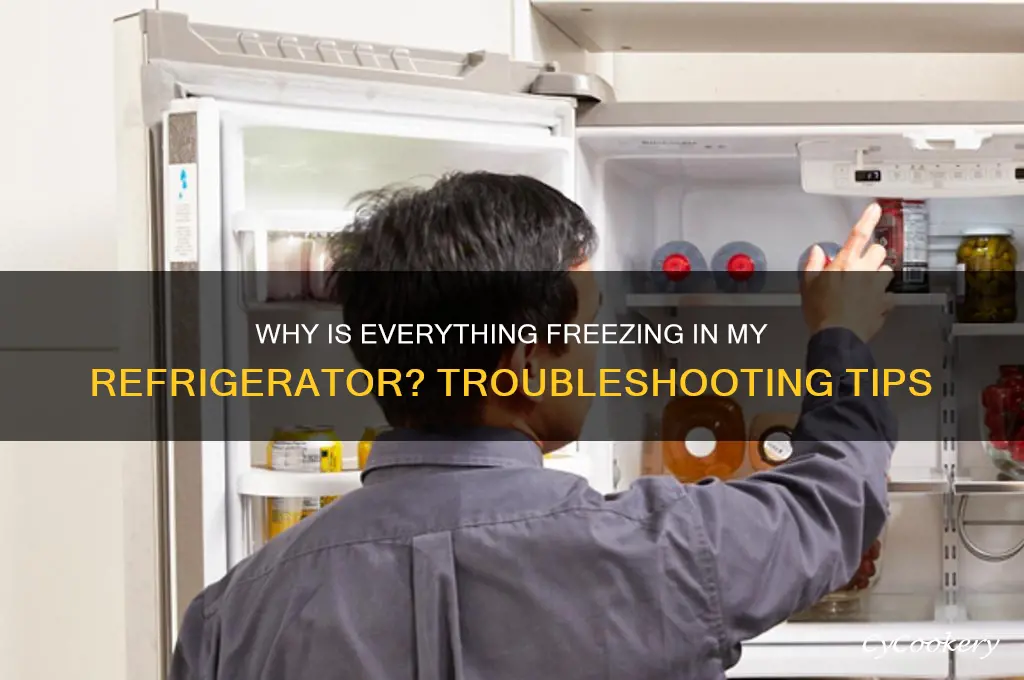 why is everything freezing in my refrigerator