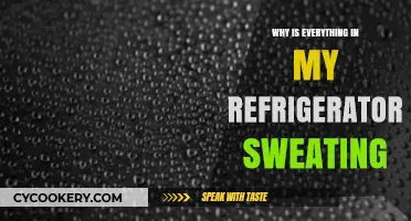 Why Is Everything in My Refrigerator Sweating? Causes and Fixes