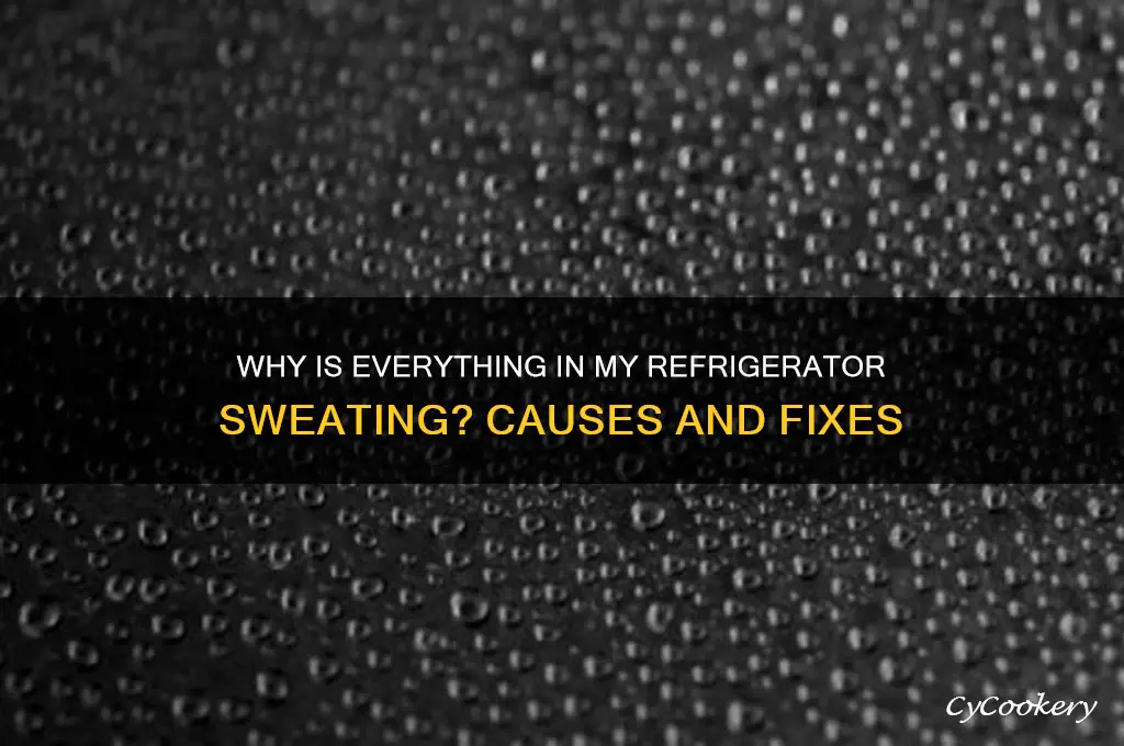 why is everything in my refrigerator sweating