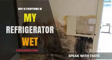 Why Is Everything in My Refrigerator Wet? Causes and Fixes