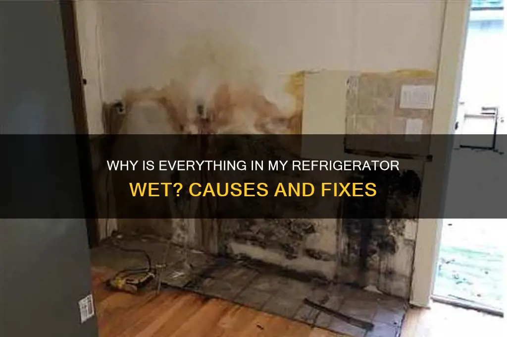why is everything in my refrigerator wet