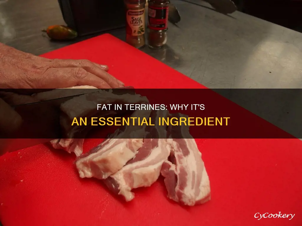 why is fat important in making terrines