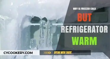 Why Your Freezer's Cold but Your Fridge Stays Warm: Explained