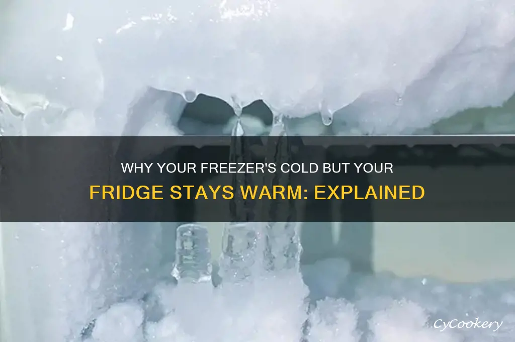 why is freezer cold but refrigerator warm