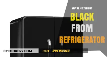Why Refrigerator Ice Turns Black: Causes and Solutions Explained