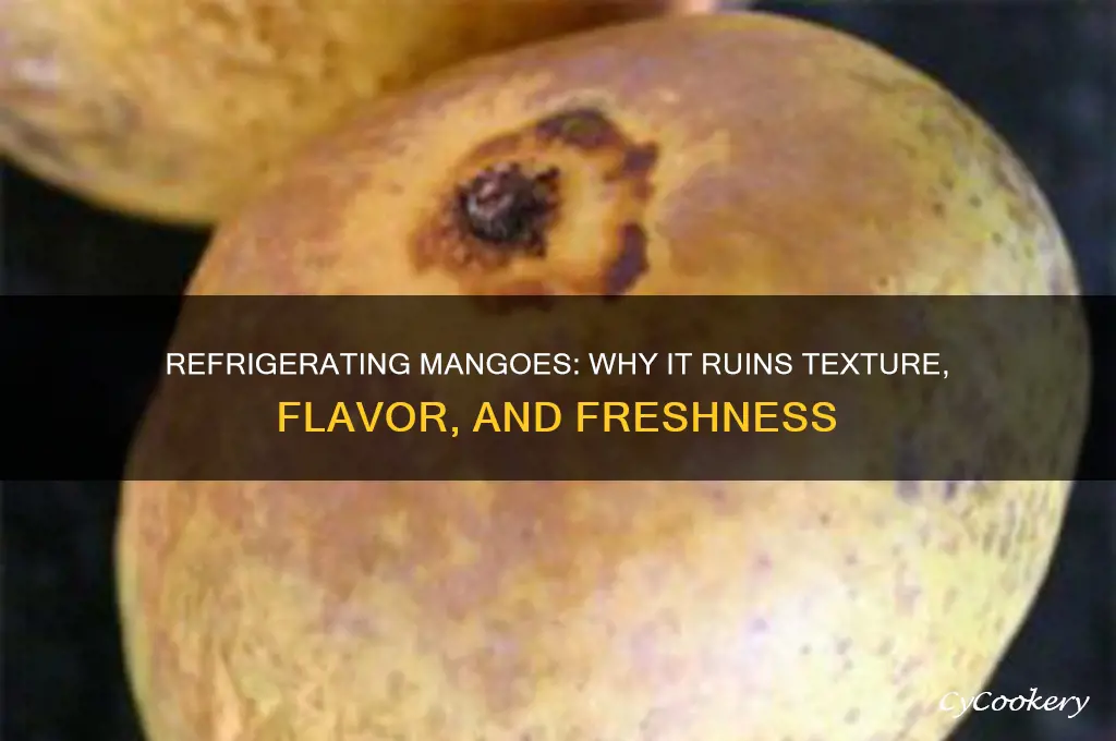 why is it bad to refrigerate mango