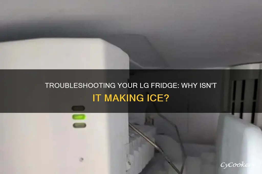 why is lg refrigerator not making ice