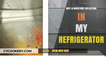 Why Moisture Builds Up in Your Fridge and How to Fix It