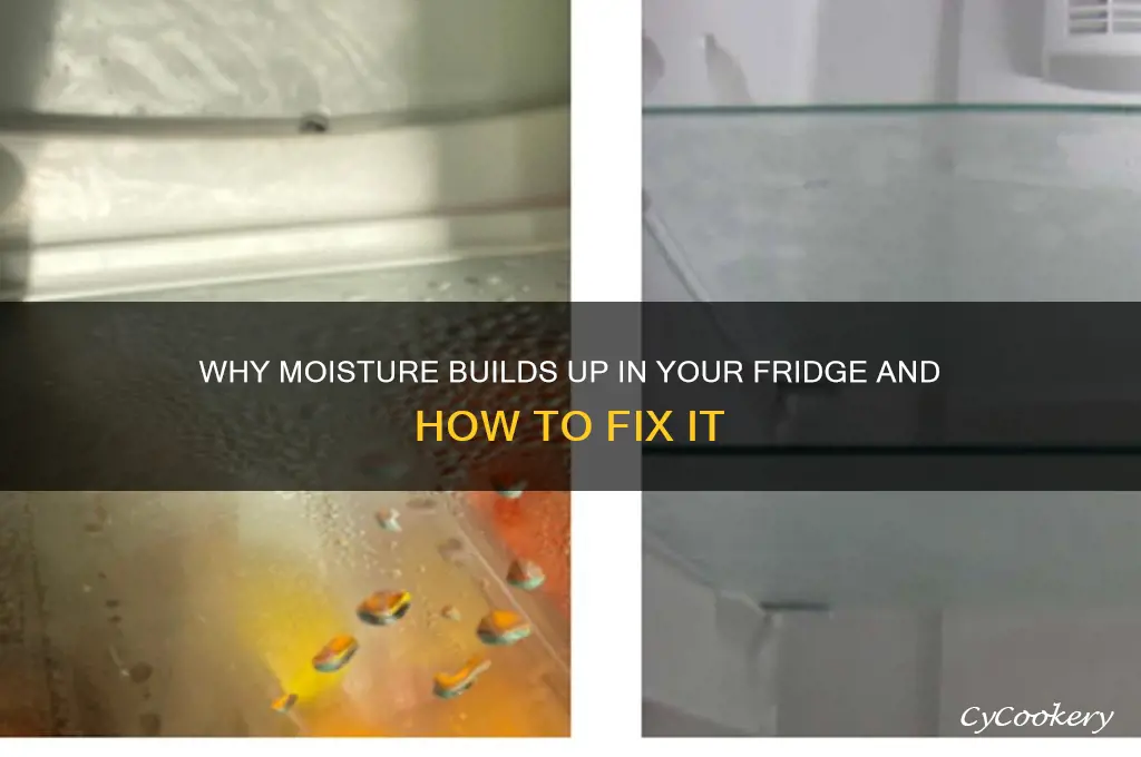 why is moisture collecting in my refrigerator
