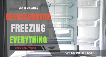 Why Your Amana Fridge Freezes Everything: Troubleshooting Guide