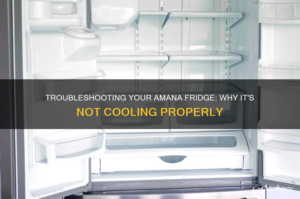why is my amana refrigerator not cold