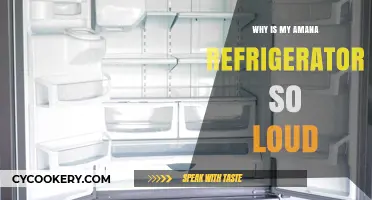 Why Is My Amana Refrigerator So Loud? Troubleshooting Tips