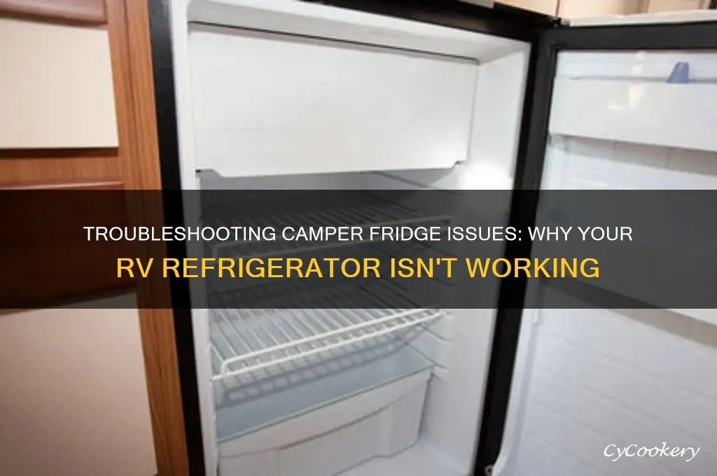 why is my camper refrigerator not working