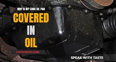 Oil Pan Maintenance: Why is it Covered in Oil?