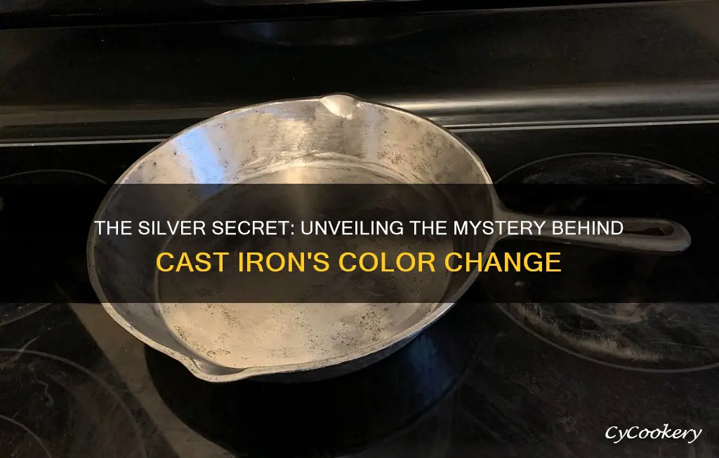 why is my cast iron pan silver