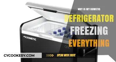 Why Your Dometic Fridge Freezes Everything: Troubleshooting Tips