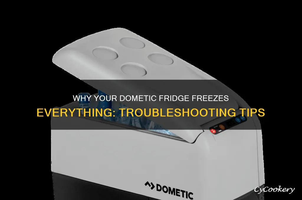 why is my dometic refrigerator freezing everything