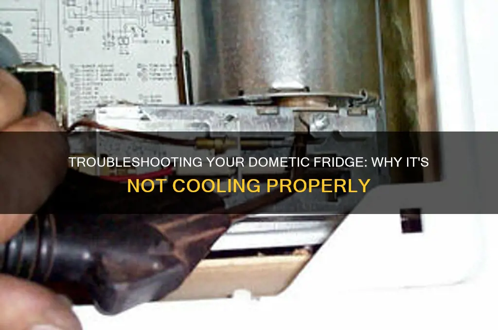 why is my dometic refrigerator not cold