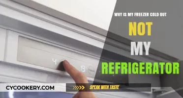 Freezer Cold, Fridge Warm: Troubleshooting Your Refrigerator's Temperature Issues