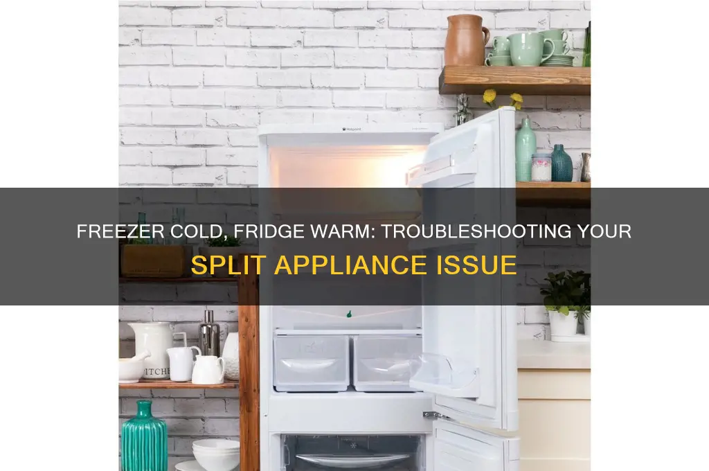 why is my freezer working but not the refrigerator