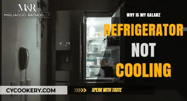 Troubleshooting Tips: Why Your Galanz Fridge Isn't Cooling Properly