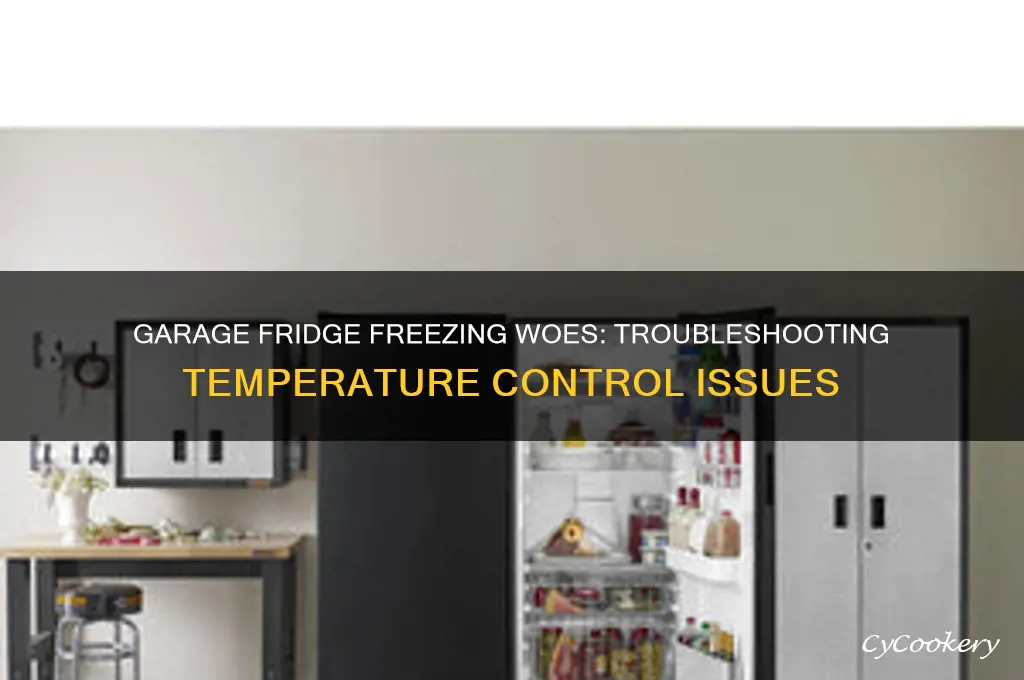 why is my garage refrigerator freezing everything
