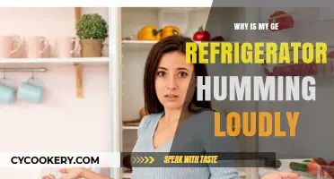 Why Is My GE Refrigerator Humming So Loudly? Solutions Explained