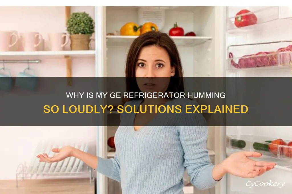 why is my ge refrigerator humming loudly