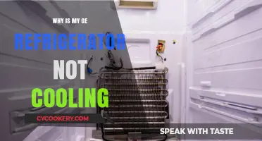 Why Your GE Refrigerator Isn't Cooling: Troubleshooting Tips and Fixes