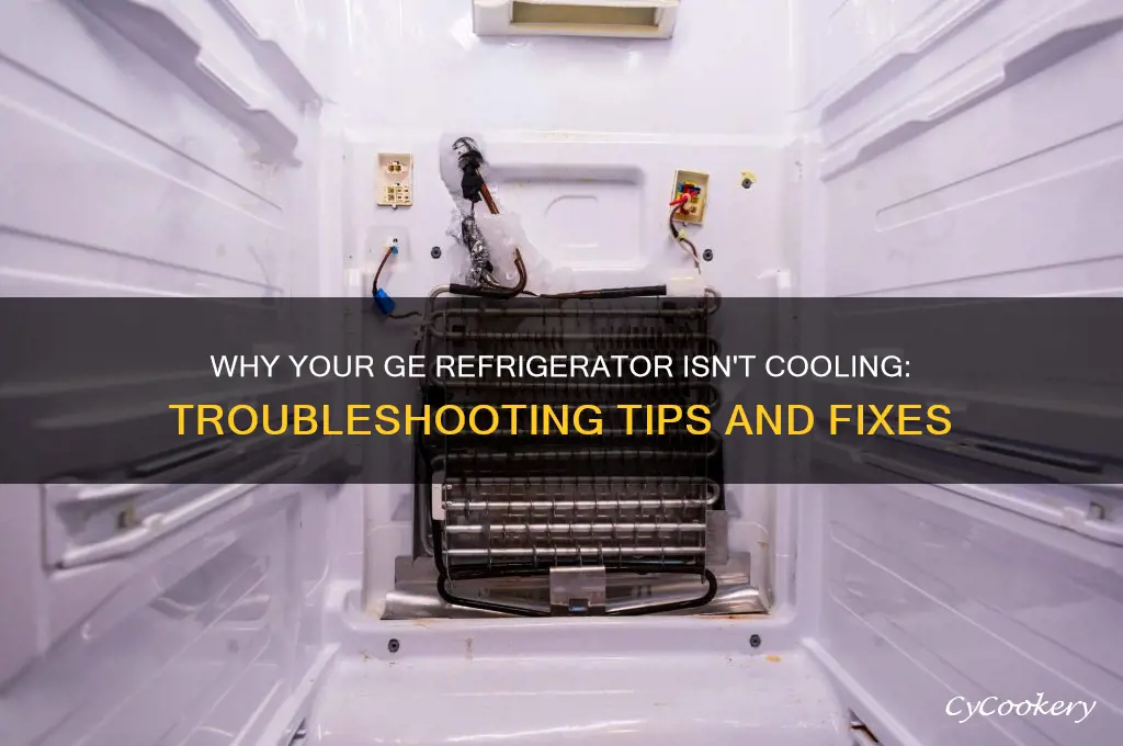 Ge Refrigerator Not Cooling