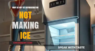 Troubleshooting Guide: Why Your GE Refrigerator Isn't Making Ice