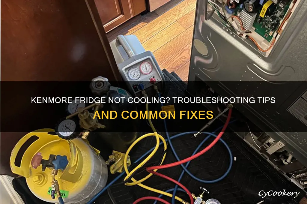 why is my kenmore refrigerator not cooling