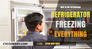 Why Your KitchenAid Fridge Freezes Food: Troubleshooting Tips
