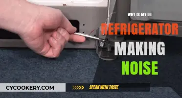 Why Is My LG Refrigerator Making Noise? Troubleshooting Tips