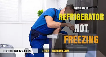 Troubleshooting Your LG Fridge: Why Isn't My Freezer Freezing?