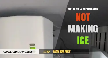 Troubleshooting LG Fridge: Why Isn't My Ice Maker Working?