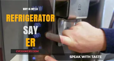 Why Your LG Fridge Displays 'ER' Error: Quick Fixes Explained